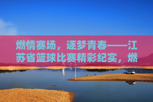 燃情赛场，逐梦青春——江苏省篮球比赛精彩纪实，燃情赛场，逐梦青春——江苏省篮球比赛纪实