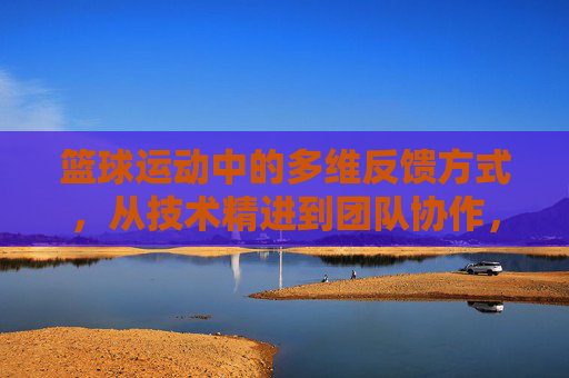 篮球运动中的多维反馈方式，从技术精进到团队协作，篮球多维反馈，技术精进到团队协作的桥梁