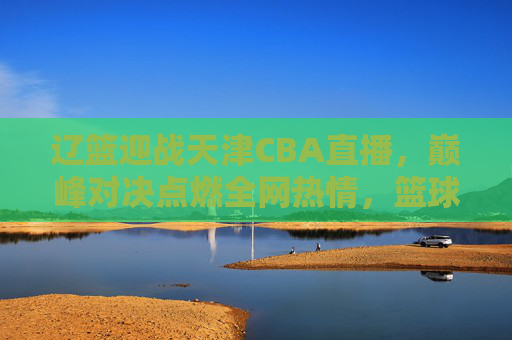 辽篮迎战天津CBA直播，巅峰对决点燃全网热情，篮球盛宴再掀热潮，辽篮天津巅峰对决，CBA盛宴全网沸腾