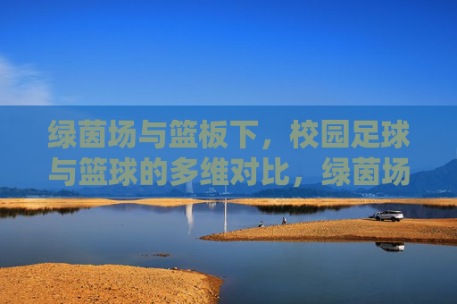 绿茵场与篮板下，校园足球与篮球的多维对比，绿茵场与篮板下，校园足球与篮球的多维对比