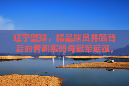 辽宁篮球，精品球员井喷背后的青训密码与冠军底蕴，辽宁篮球，青训密码与冠军底蕴共筑球员井喷