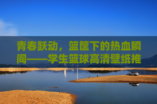 青春跃动，篮筐下的热血瞬间——学生篮球高清壁纸推荐，青春跃动，篮筐下的热血篮球壁纸