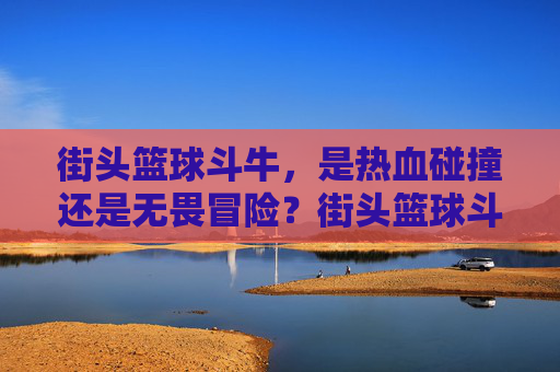 街头篮球斗牛,是热血碰撞还是无畏冒险?街头篮球斗牛,热血碰撞与无畏冒险