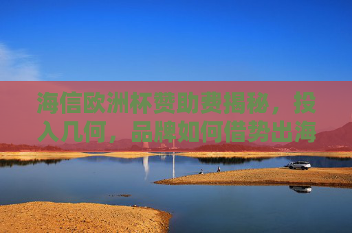 海信欧洲杯赞助费揭秘，投入几何，品牌如何借势出海？海信欧洲杯赞助费揭秘，投入几何与出海借势之道