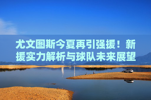 尤文图斯今夏再引强援！新援实力解析与球队未来展望，尤文图斯今夏再引强援，新援实力解析与球队未来展望