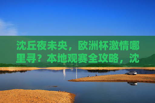 沈丘夜未央，欧洲杯激情哪里寻？本地观赛全攻略，沈丘夜未央，欧洲杯本地观赛激情攻略