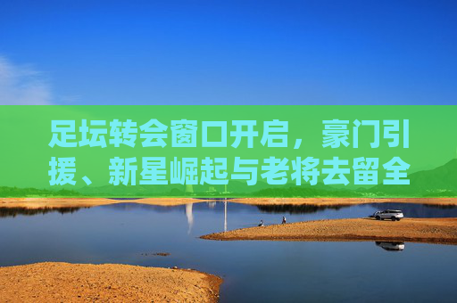 足坛转会窗口开启，豪门引援、新星崛起与老将去留全解析，足坛转会窗口全解析，豪门引援、新星崛起与老将去留