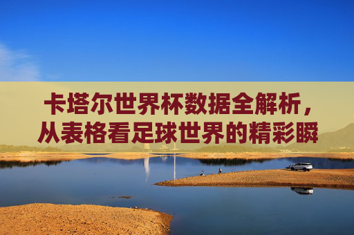 卡塔尔世界杯数据全解析，从表格看足球世界的精彩瞬间，卡塔尔世界杯数据全解析，表格里的足球精彩瞬间