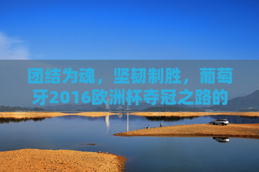 团结为魂，坚韧制胜，葡萄牙2016欧洲杯夺冠之路的密码，团结为魂，坚韧制胜，葡萄牙2016欧洲杯夺冠密码