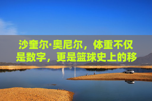 沙奎尔·奥尼尔，体重不仅是数字，更是篮球史上的移动堡垒，奥尼尔，篮球史上的体重移动堡垒