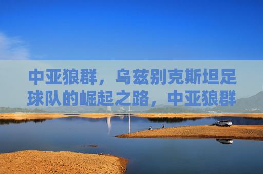 中亚狼群，乌兹别克斯坦足球队的崛起之路，中亚狼群，乌兹别克斯坦足球队的崛起之路