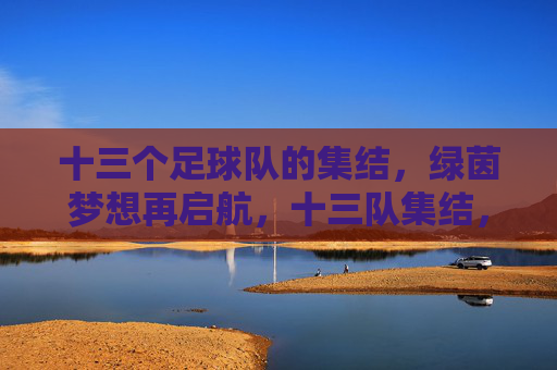 十三个足球队的集结,绿茵梦想再启航,十三队集结,绿茵梦想再启航