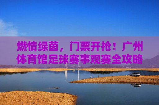 燃情绿茵，门票开抢！广州体育馆足球赛事观赛全攻略，广州体育馆足球赛事门票开抢！观赛全攻略