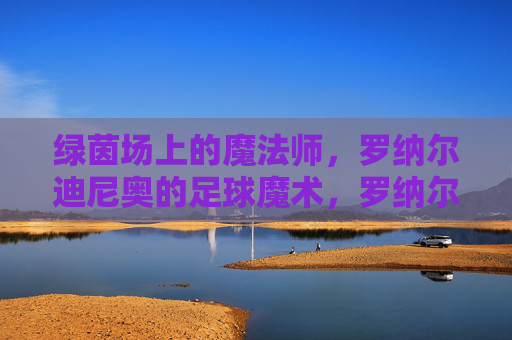 绿茵场上的魔法师,罗纳尔迪尼奥的足球魔术,罗纳尔迪尼奥,绿茵场的足球魔术师