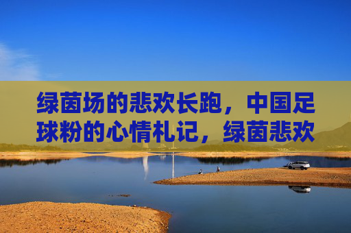 绿茵场的悲欢长跑,中国足球粉的心情札记,绿茵悲欢长跑,中国足球粉的心情札记