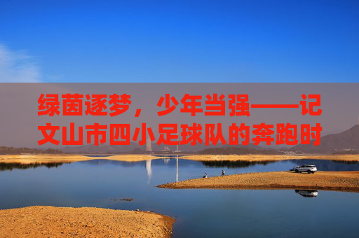 绿茵逐梦,少年当强——记文山市四小足球队的奔跑时光,绿茵逐梦,少年当强