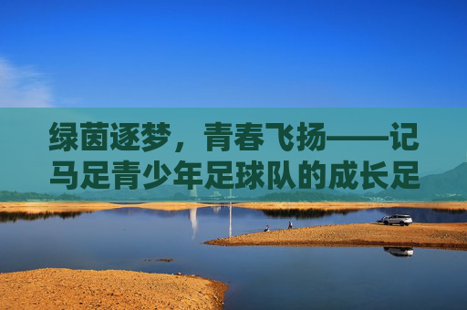 绿茵逐梦，青春飞扬——记马足青少年足球队的成长足迹，绿茵逐梦青春飞扬——马足青少年足球队成长足迹