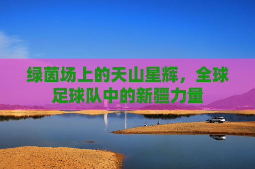 绿茵场上的天山星辉,全球足球队中的新疆力量