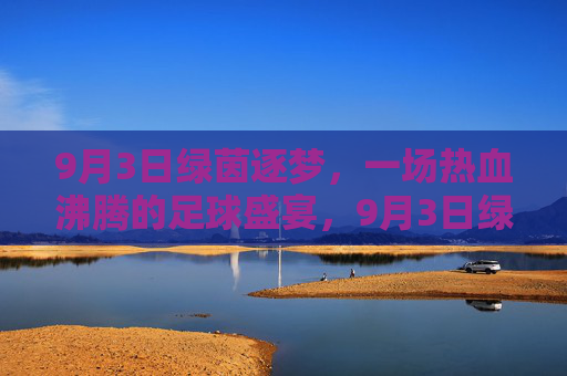 9月3日绿茵逐梦，一场热血沸腾的足球盛宴，9月3日绿茵逐梦，热血足球盛宴