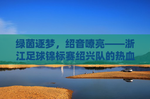 绿茵逐梦，绍音嘹亮——浙江足球锦标赛绍兴队的热血征途，绿茵逐梦，绍兴热血征途