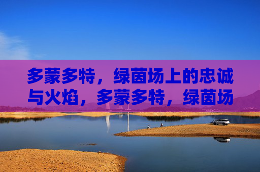 多蒙多特，绿茵场上的忠诚与火焰，多蒙多特，绿茵场上的忠诚火焰