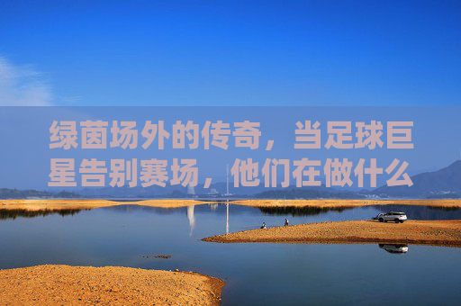绿茵场外的传奇,当足球巨星告别赛场,他们在做什么?绿茵场外的传奇,足球巨星的第二人生