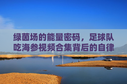 绿茵场的能量密码，足球队吃海参视频合集背后的自律与冠军基因，绿茵场能量密码，足球队吃海参背后的自律与冠军基因