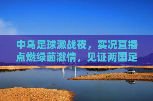 中乌足球激战夜,实况直播点燃绿茵激情,见证两国足球的碰撞与共鸣,中乌足球激战夜,实况直播点燃绿茵激情