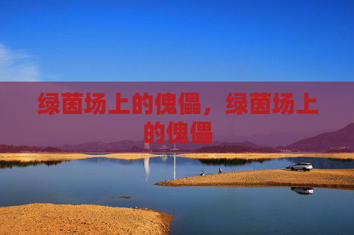 绿茵场上的傀儡,绿茵场上的傀儡