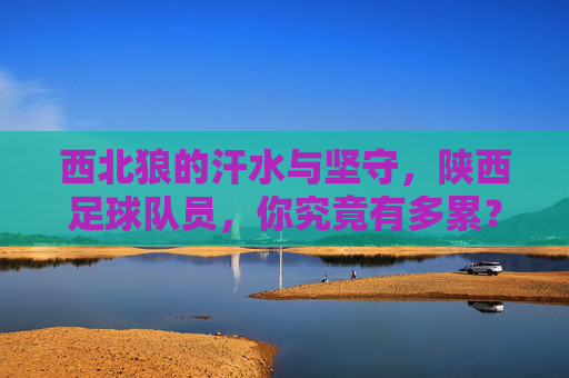 西北狼的汗水与坚守,陕西足球队员,你究竟有多累?西北狼的汗水与坚守,陕西足球队员的疲惫与坚守