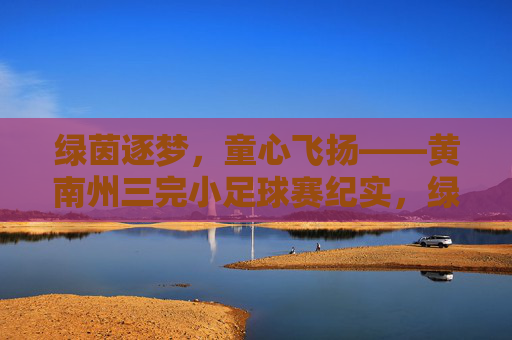绿茵逐梦,童心飞扬——黄南州三完小足球赛纪实,绿茵逐梦,童心飞扬——黄南州三完小足球赛纪实