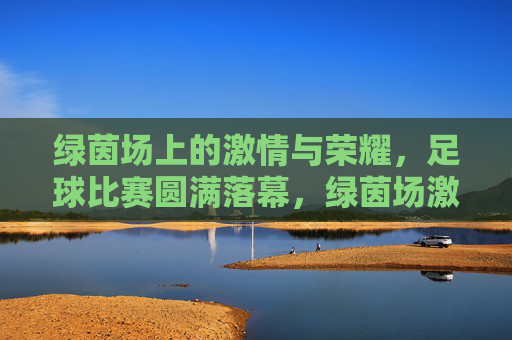 绿茵场上的激情与荣耀,足球比赛圆满落幕,绿茵场激情落幕,荣耀永存