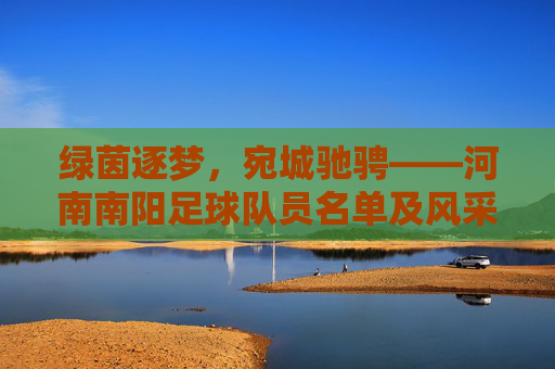 绿茵逐梦,宛城驰骋——河南南阳足球队员名单及风采,绿茵逐梦宛城驰骋,河南南阳足球队员名单及风采