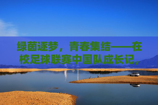 绿茵逐梦，青春集结——在校足球联赛中国队成长记，绿茵逐梦，中国队青春成长记