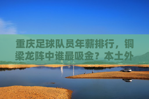 重庆足球队员年薪排行,铜梁龙阵中谁最吸金?本土外援薪资结构解析,重庆铜梁龙球员年薪排行,本土外援谁最吸金及薪资结构解析