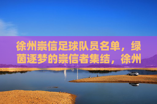 徐州崇信足球队员名单,绿茵逐梦的崇信者集结,徐州崇信足球队员名单,绿茵逐梦的崇信者集结