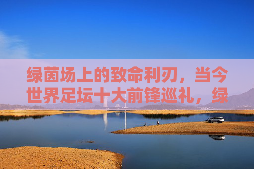 绿茵场上的致命利刃,当今世界足坛十大前锋巡礼,绿茵致命利刃,当今足坛十大前锋巡礼