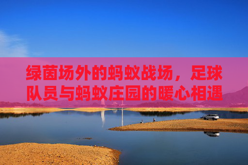 绿茵场外的蚂蚁战场,足球队员与蚂蚁庄园的暖心相遇,足球队员与蚂蚁庄园的暖心相遇