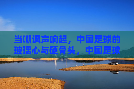 当嘲讽声响起,中国足球的玻璃心与硬骨头,中国足球,嘲讽声下的玻璃心与硬骨头