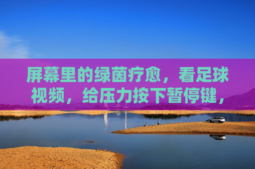 屏幕里的绿茵疗愈,看足球视频,给压力按下暂停键,屏幕绿茵疗愈,看足球,给压力按下暂停键