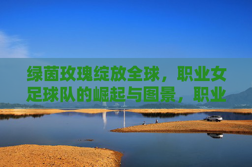 绿茵玫瑰绽放全球,职业女足球队的崛起与图景,职业女足崛起,绿茵玫瑰的全球图景