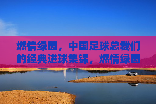 燃情绿茵，中国足球总裁们的经典进球集锦，燃情绿茵，中国足球总裁经典进球集锦