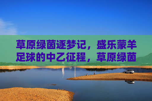 草原绿茵逐梦记，盛乐蒙羊足球的中乙征程，草原绿茵逐梦记，盛乐蒙羊足球的中乙征程
