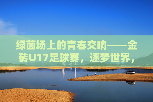 绿茵场上的青春交响——金砖U17足球赛,逐梦世界,共筑未来,金砖U17足球赛,绿茵青春交响,逐梦未来