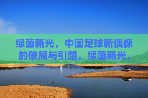 绿茵新光,中国足球新偶像的破局与引路,绿茵新光,中国足球新偶像的破局与引路