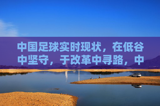中国足球实时现状,在低谷中坚守,于改革中寻路,中国足球,低谷坚守,改革寻路