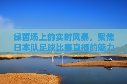 绿茵场上的实时风暴,聚焦日本队足球比赛直播的魅力,绿茵场实时风暴,日本队足球直播的魅力