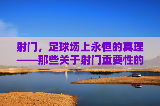 射门，足球场上永恒的真理——那些关于射门重要性的名言启示，射门，足球场上永恒的真理