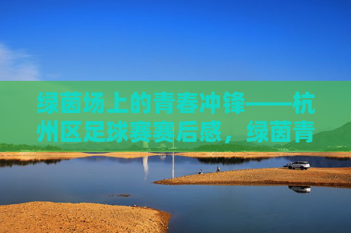 绿茵场上的青春冲锋——杭州区足球赛赛后感,绿茵青春冲锋