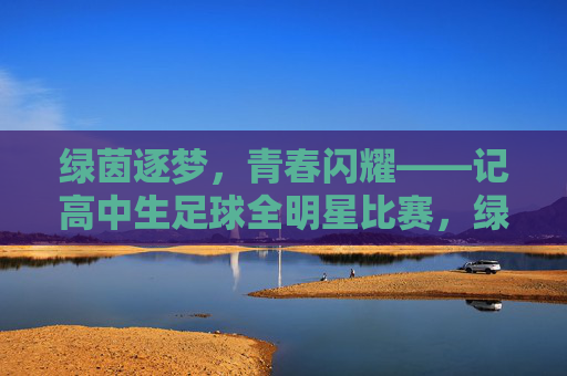 绿茵逐梦，青春闪耀——记高中生足球全明星比赛，绿茵逐梦，青春闪耀——高中生足球全明星赛